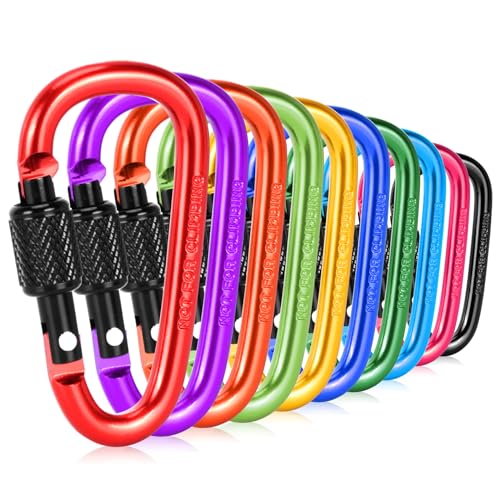 Aluminum D-Ring Carabiner Clips - 10 Pack, 2.28 Inch Locking Snap Hooks