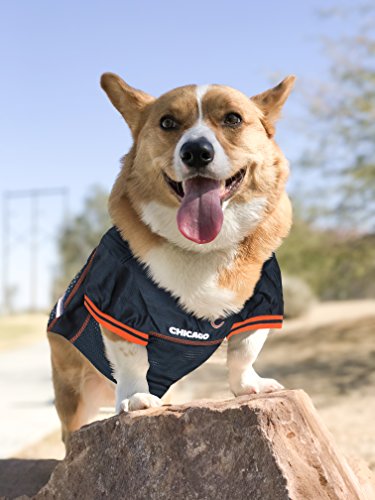 Chicago Bears NFL Pet Jersey - X-Small Dog & Cat Apparel