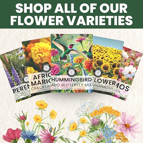 Zinnia California Giants - Large 1 Ounce Packet (3,000 Seeds)