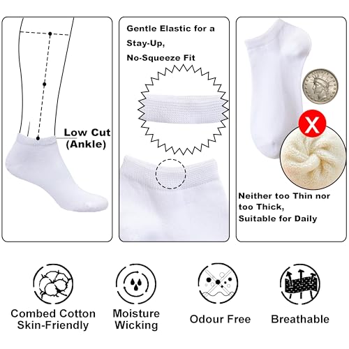 Women's Cotton Low-Cut Ankle Socks 7 Pairs White Size 6-9 RICOTNSOCS