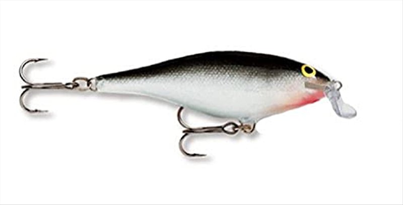 Rapala Shallow Shad Rap 07 Fishing Lures (Silver, Size- 2.75)