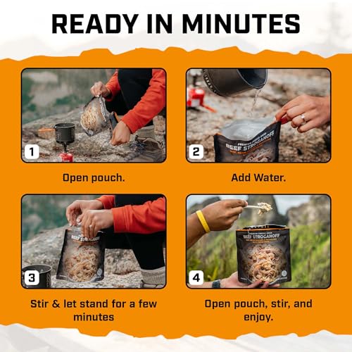 Beef Stroganoff Freeze-Dried Backpacking Meal - High Protein, Just Add Water