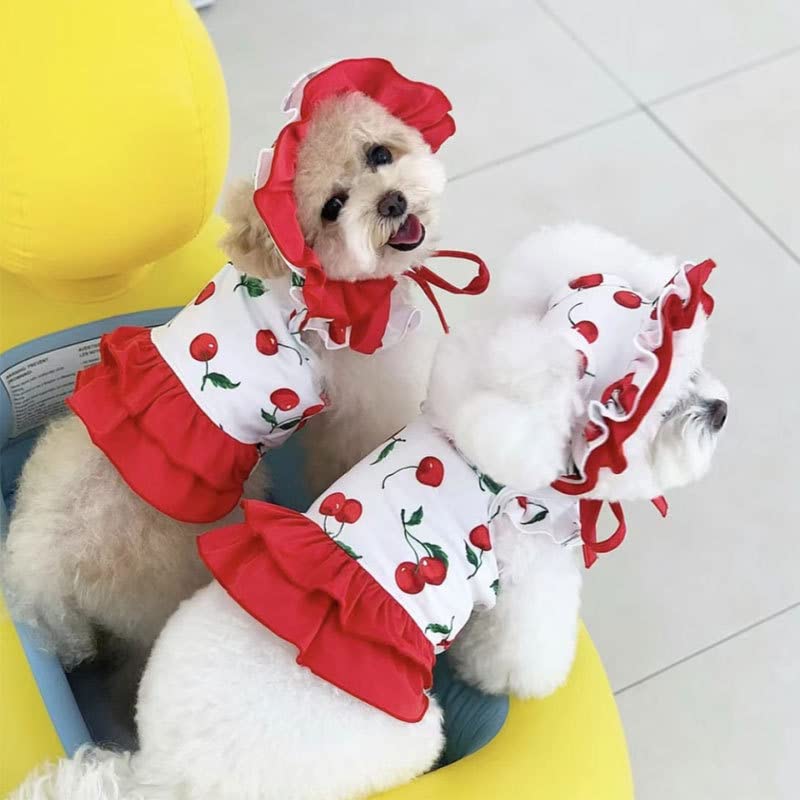 IMDOUBLEDOU Cherry XX-Large Dog Swimsuit & Sun Cap Set - Puppy Beach Outfit for Swimming & Bathing