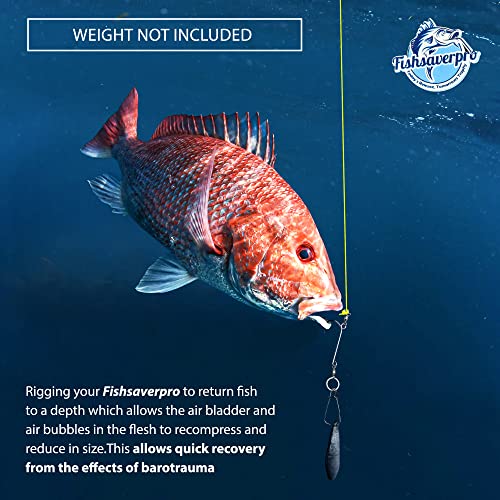 Fish SaverPro Descending Fish Release Device 2 Pack – NOAA-Preferred Barotrauma Recovery Tool