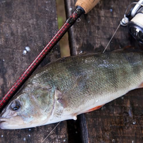 480 Yards Clear Nylon Fishing Line - Strong & Abrasion Resistant