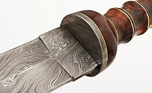 Handmade Damascus Steel Roman Gladius Sword with Red Wood Handle - Replica 15" Collectible Weapon