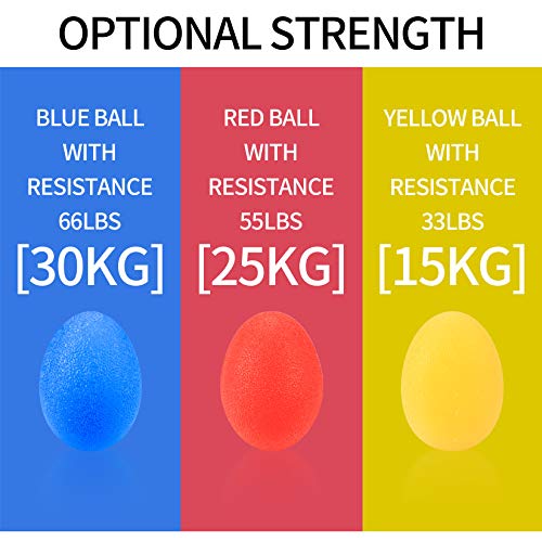 5-Piece Hand Grip Strengthener Set with Exercise Balls and Finger Trainers