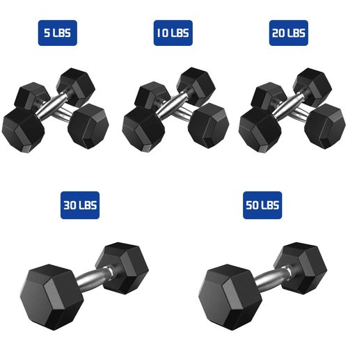 THUNDERBAY Rubber Coated Cast Iron Hex Dumbbell Weights(in Pairs) (20 Pounds)