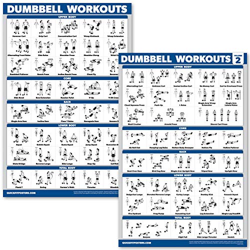 Dumbbell Workout Poster Set - Laminated 18" x 24" - Volumes 1 & 2