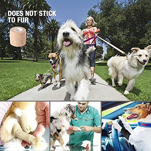 Self-Adherent Elastic Bandage Wrap - 2 Inch - 6 Pack for Sports & First Aid