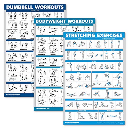 Dumbbell Workouts & Bodyweight Exercises Poster Set - Laminated, 18" x 24"