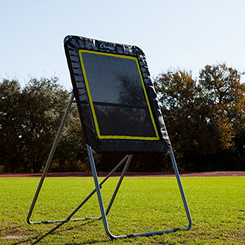 Lacrosse Rebounder Target - Deluxe 3' x 4' Ball Return Net