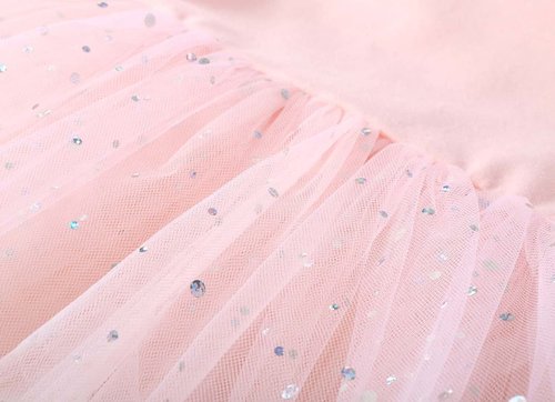 danswan Toddler Girls Long Sleeve Ballet Tutu Leotards with Glitter Skirt Dance Ballerina Outfit (2-3T, Ballet Pink)