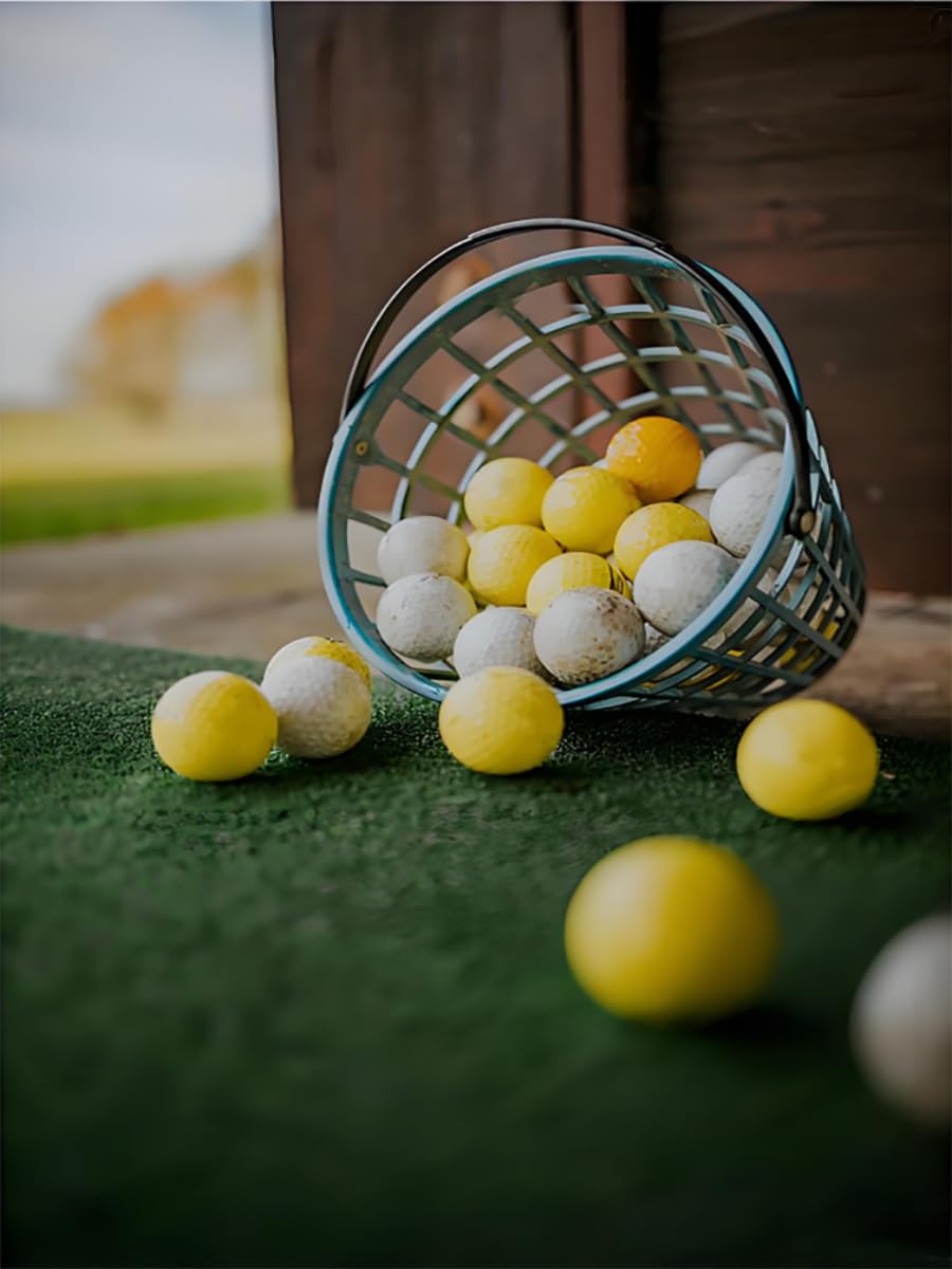 ZoiscPure Golf Balls Basket Ball Bucket Golf Balls Container Case with Handle,Balls Holder, Can Holds 25 Balls,Green Color