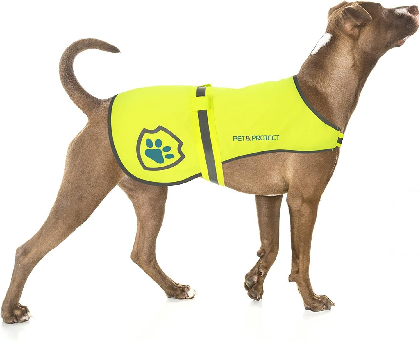 Reflective Dog Coat by [Brand Name] - High-Visibility Safety Vest for Walking & Training | Sizes for Small to Large Breeds (16-130 lbs)