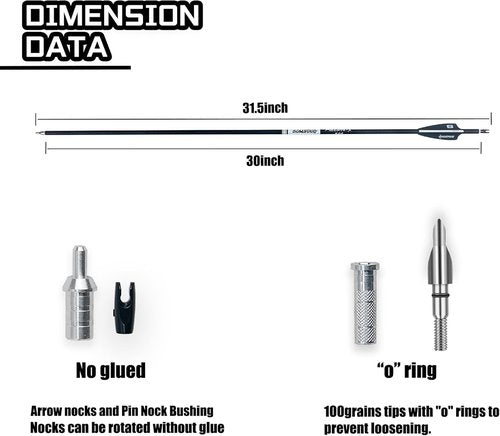 31Inch Carbon Arrows for Target Practice Hunting Arrow with Removable Tips for Compound & Recurve Bow(Pack of 12)