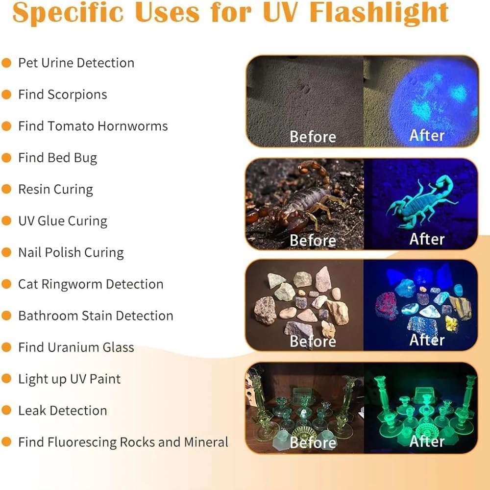 30W UV Flashlight - Rechargeable Black Light for Pet Urine Detection & Curing