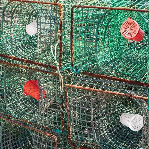 Fishing Bait Cage Trap Set of 20 - Plastic Crawfish Minnow Shrimp Crab Bait Holders