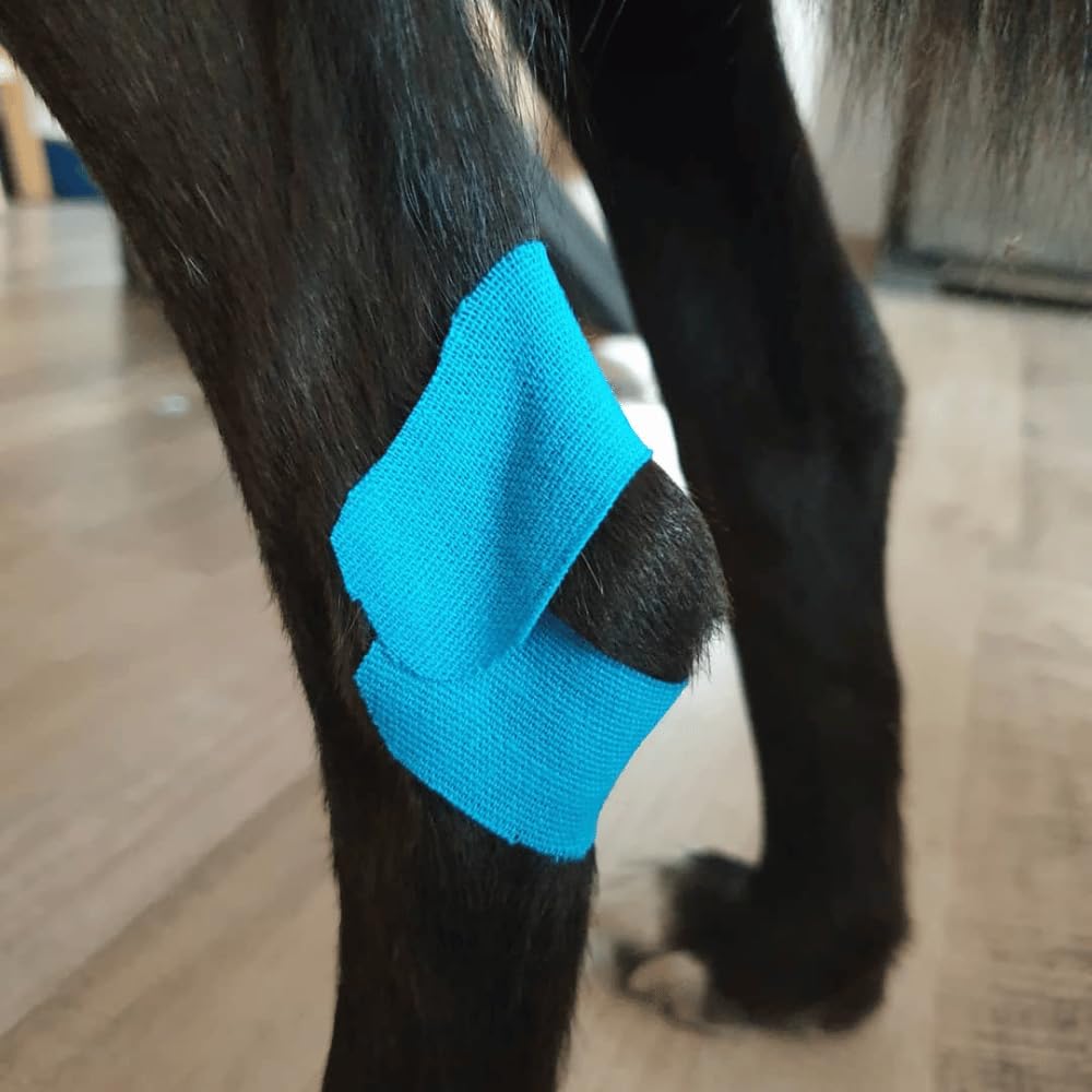 VetkinTape® Veterinary Kinesiology Tape Blue | Kinesiology Tape for Horses & Dogs | Equine & Canine Kinesiotape | Latex Free and Quality Mark Certified Ktape | 4 inch | Pack of 1 Roll
