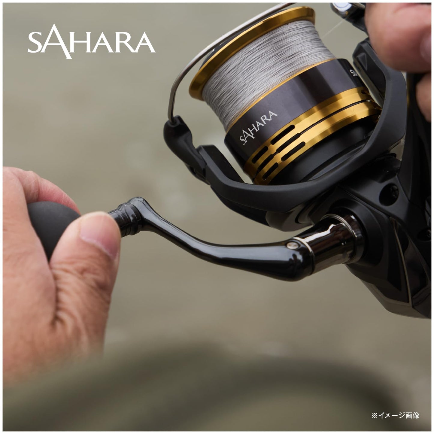 Shimano 22 Sahara Fishing Reel Shipped from Japan 2022 Model (C2000SHG)