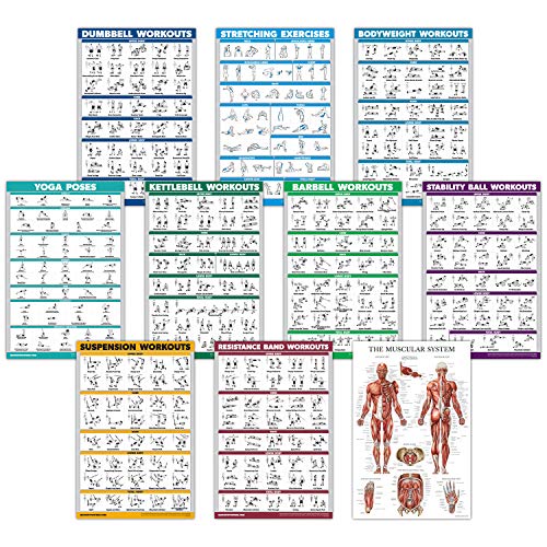 10 Pack Exercise Workout Poster Set - Laminated 18" x 24"
