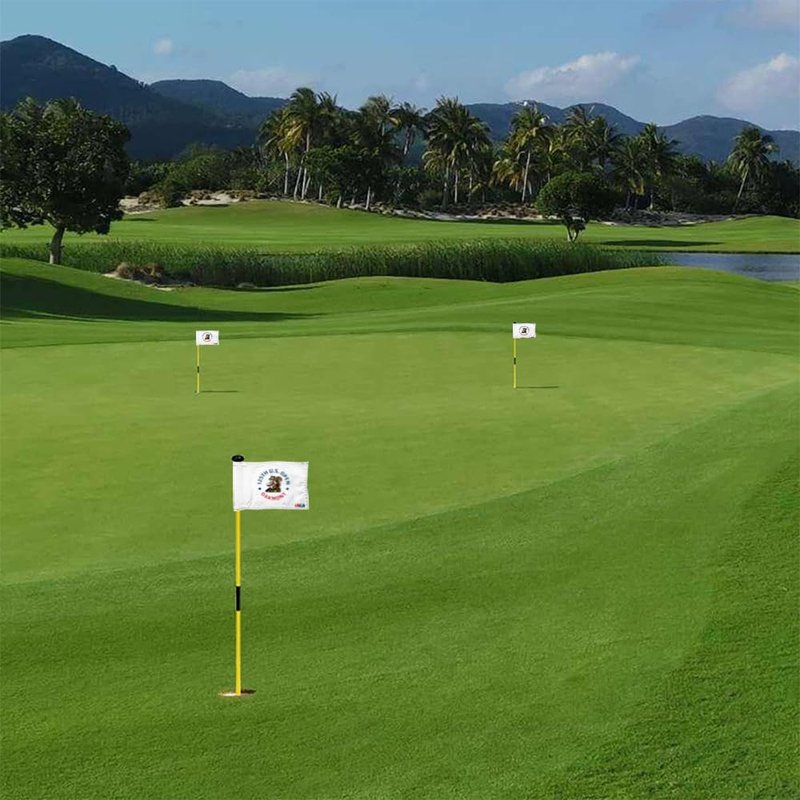 2BUT 2025 US Open Flag Oakmont Golf Pin USGA Flag Practic Putting Green Golf Flag For Backyard Garden Double-Sewn 600D Nylon Miniature Pin Flag Regulation Tube Flag(white 8"x6")