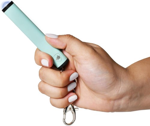 Guard Dog Security Enlight Mini Stun Gun - Keychain-Friendly Self Defense Tool with LED Flashlight & USB-C Rechargeable Design