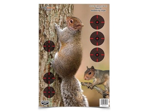 Birchwood Casey Pregame 12˝ x 18˝ Squirrel Target - 8 Targets, Black