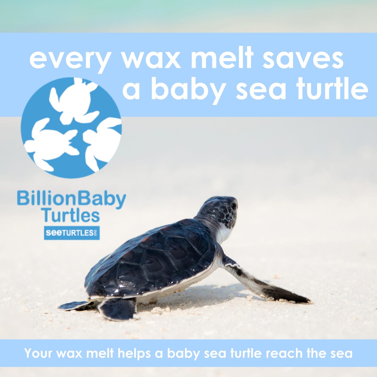 Walk in The Woods | Pet Safe Wax Melts | All Natural Soy | Non-Toxic | Dog Friendly | Vet Approved | Long Lasting Home Fragrance | Pet Odor Eliminator | Clean Burning Wax Cubes | Safe Air Freshener