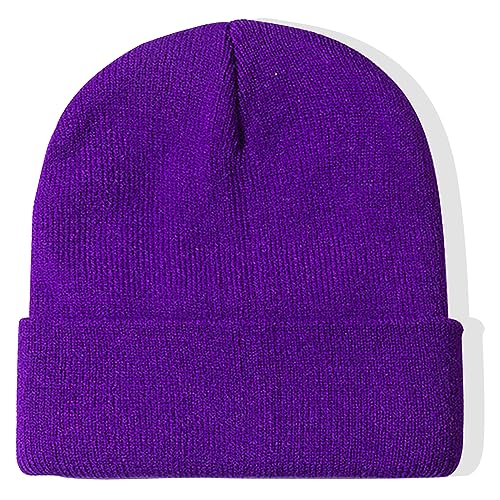 Soft Warm Slouchy Beanie Hat for Men & Women - Purple
