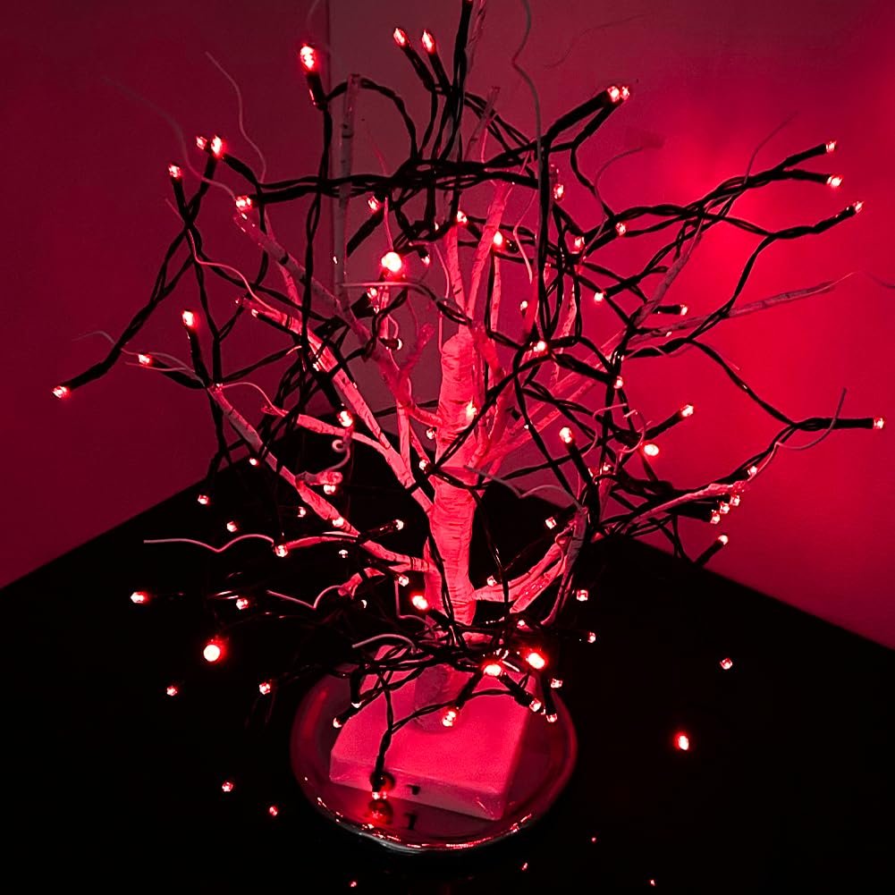 Taoushuleng Solar String Lights Outdoor with Red Light, Blackish Green Wire, 40ft 100 LED with 8 Lighting Modes for Outside,Garden,Courtyards,Trees (Red)