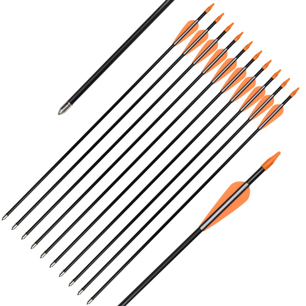 Fiberglass Practice Arrows Archery 24 Inch Target Shooting Safetyglass Recurve Bows Suitable for Youth Woman Beginner 12PCS