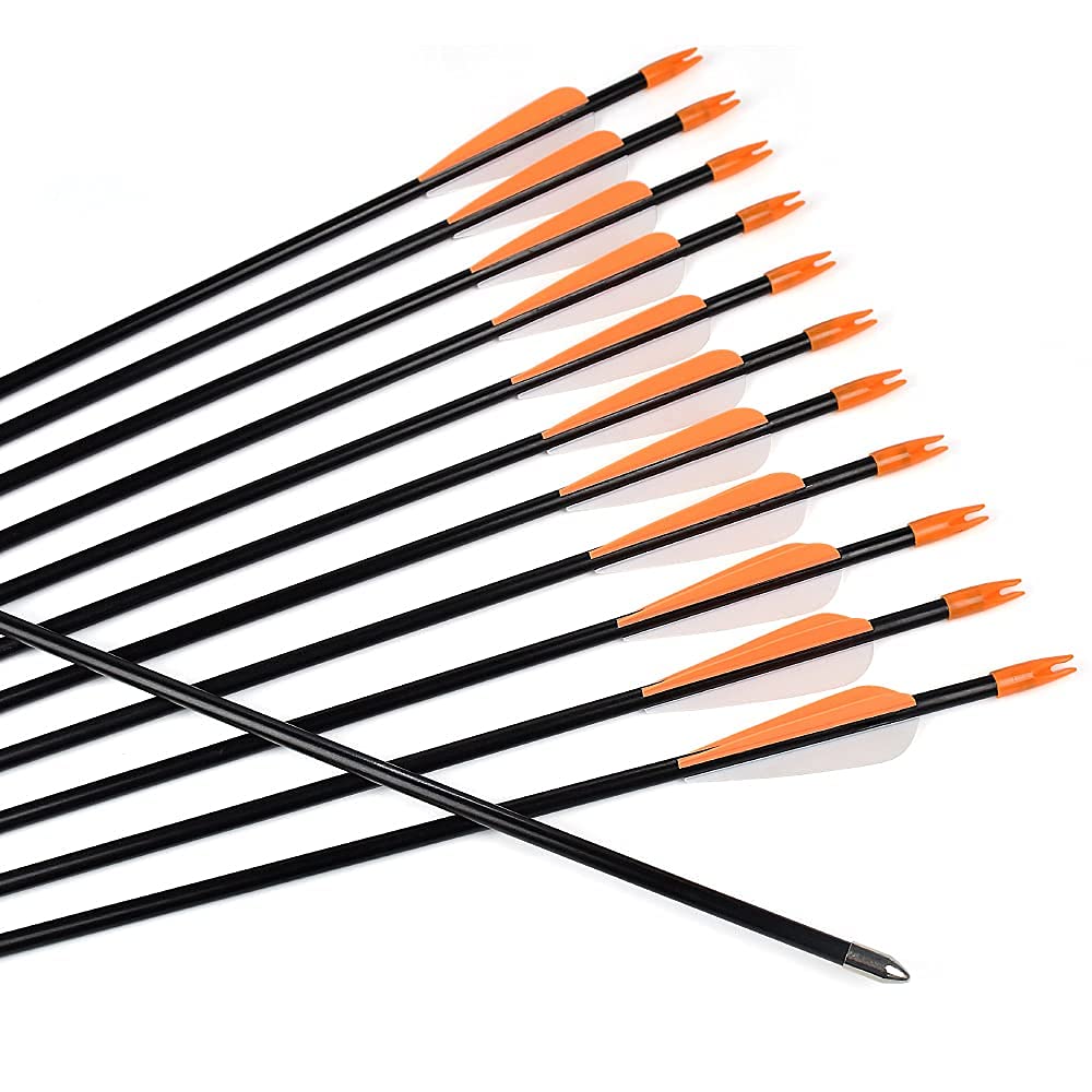 Fiberglass Practice Arrows Archery 28 Inch Target Shooting Safetyglass Recurve Bows Suitable for Youth Woman Beginner 12PCS