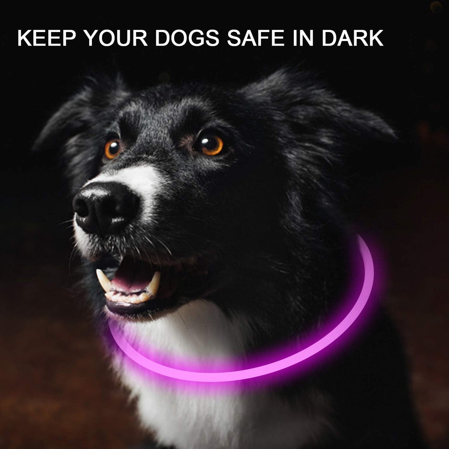 Novkin LED Dog Collar - 2-Pack Rechargeable Light-Up Safety Collars for Night Walking | Red & Pink