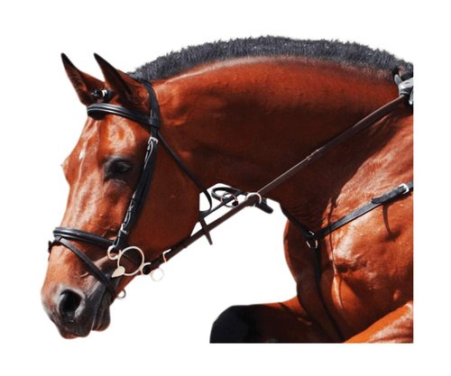 Happy Mouth 3-Ring Shaped Mullen Mouth Gag Horse Bits, 5, Silver