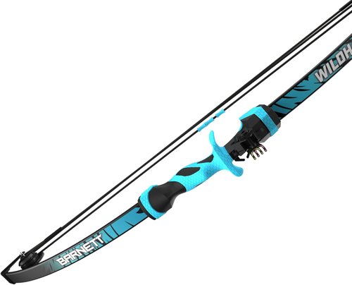 Barnett Wildhawk Compound Bow - Youth Bow for Ages 5+ | Includes 2 Arrows, Green Color