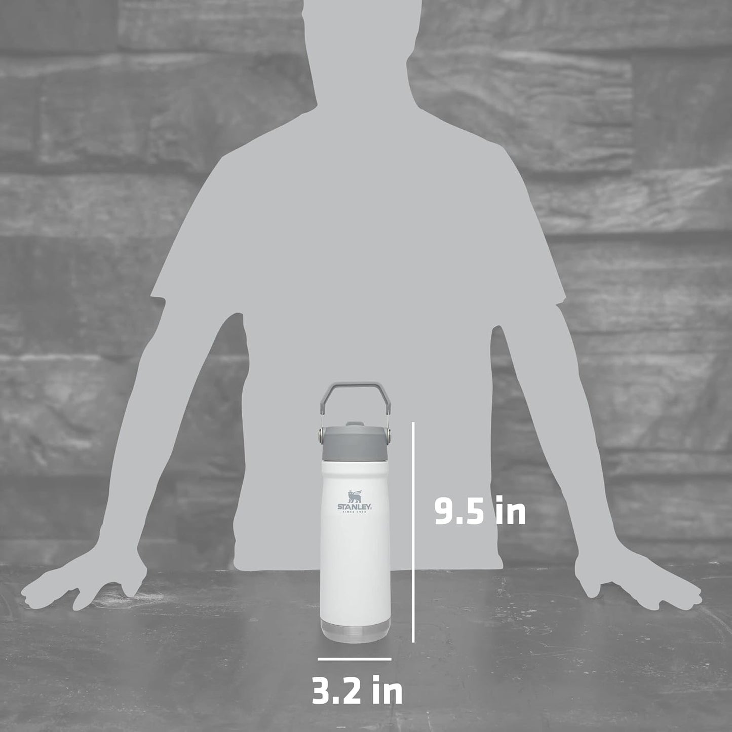 STANLEY IceFlow 22 oz Water Bottle - Insulated Stainless Steel with Built-In Straw | Lightweight & Leak Resistant | BPA-Free | Polar