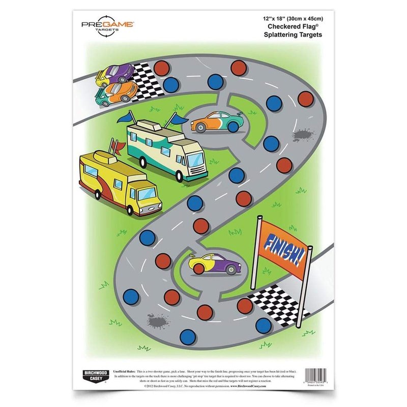 Birchwood Casey Pregame Checkered Flag 12 x 18-Inch Target, Multi, One Size (BC-35574)