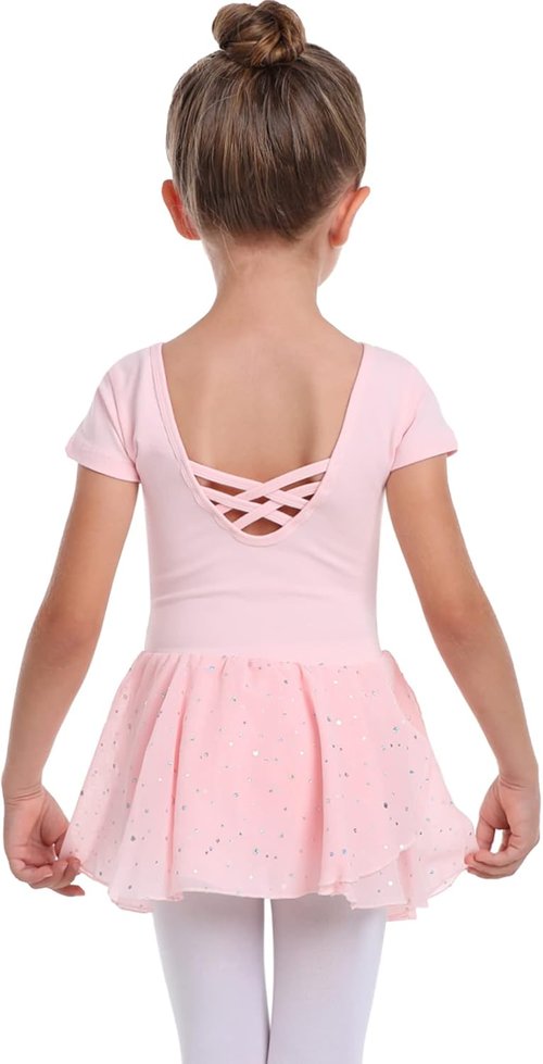 Danswan Toddler Girls Ballet Leotard - Long Sleeve Tutu Dress with Glitter Skirt | Perfect Dance Outfit