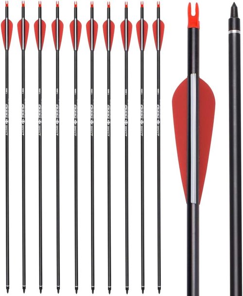 Carbon Arrow Hunting Practice Arrows - Removable Tips for Compound & Recurve Bow | 26, 28, 30 Inch, Spine 500, 6/12PCS