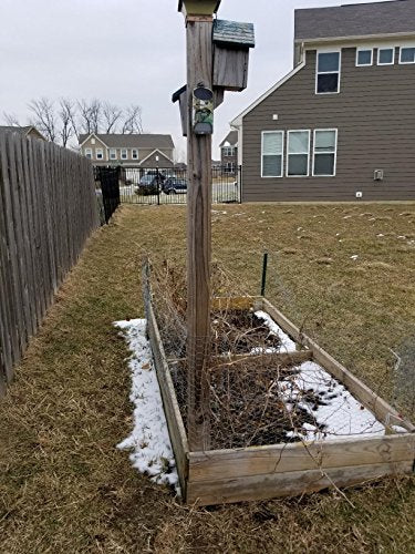 Vizzlema Solar Green Feeder Light with Motion Sensor for Night Hunting