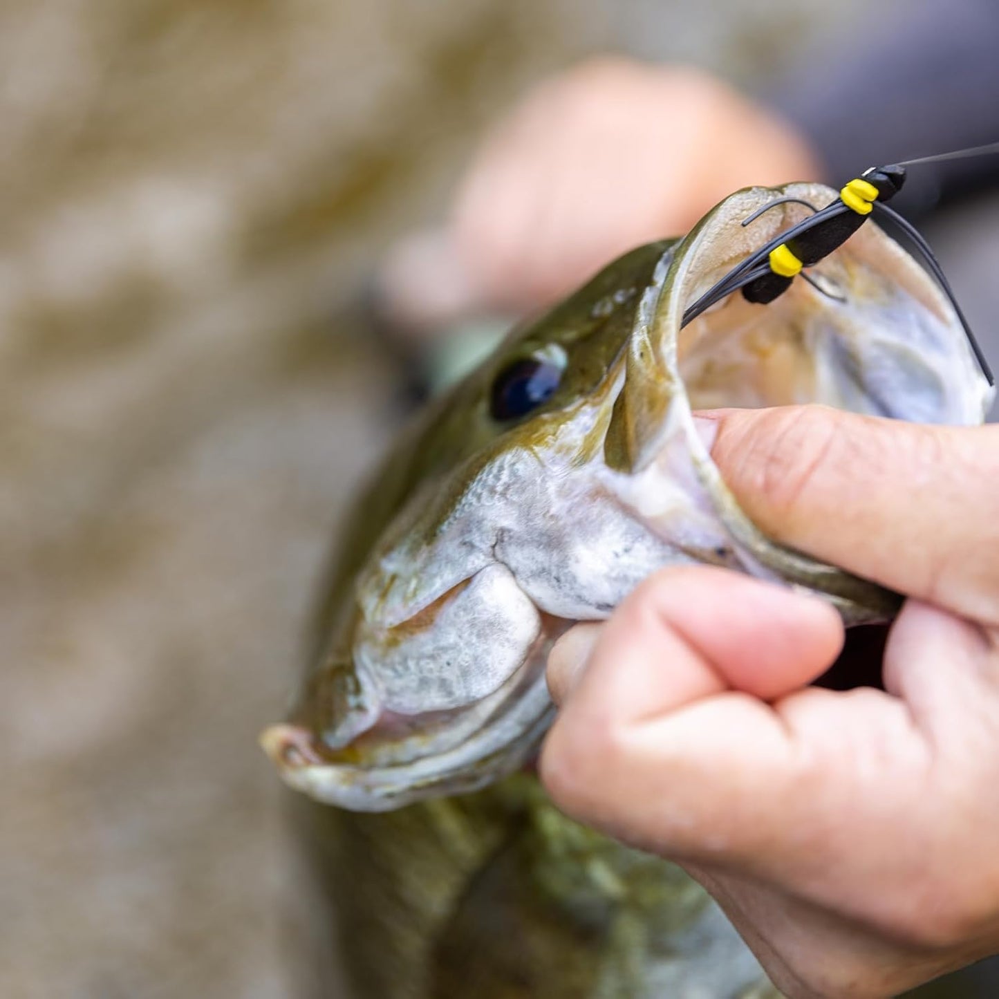 SF Pre-Tied Loop Fly Fishing Leader - Tapered Nylon for Freshwater & Saltwater | 7.5FT to 15FT Options