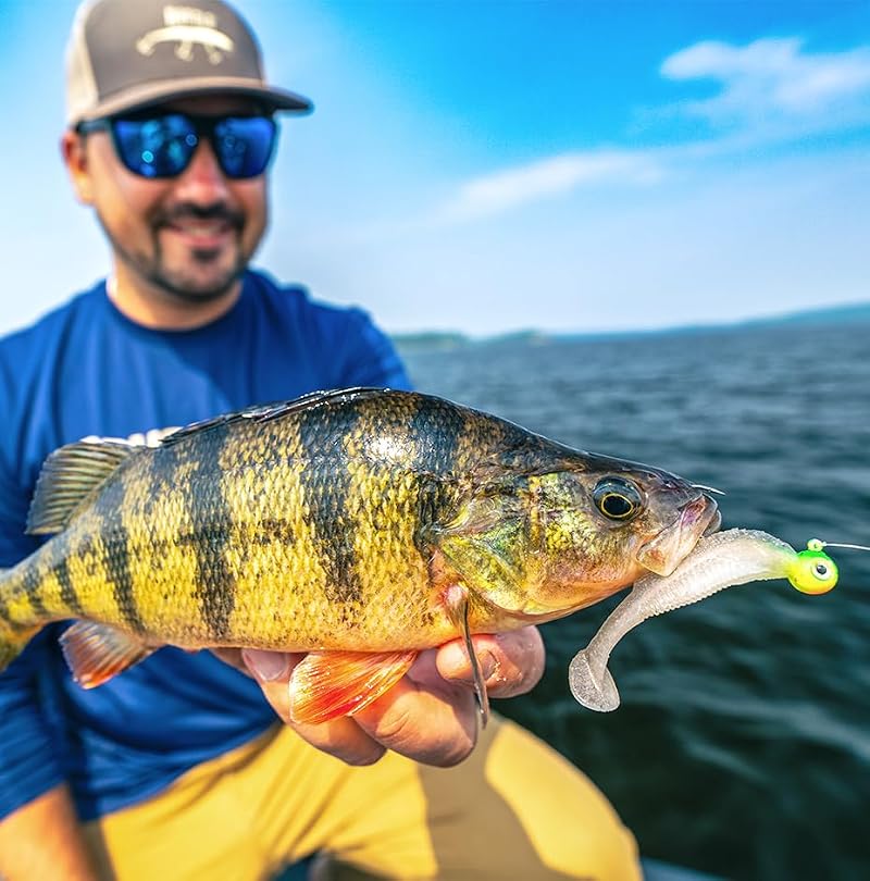 Soft Plastic Paddle Tail Swimbait - Sexy Shad / 4"