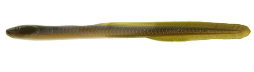 Berkley Natural Eel, 8-Inch, 8in - Pint 4x7
