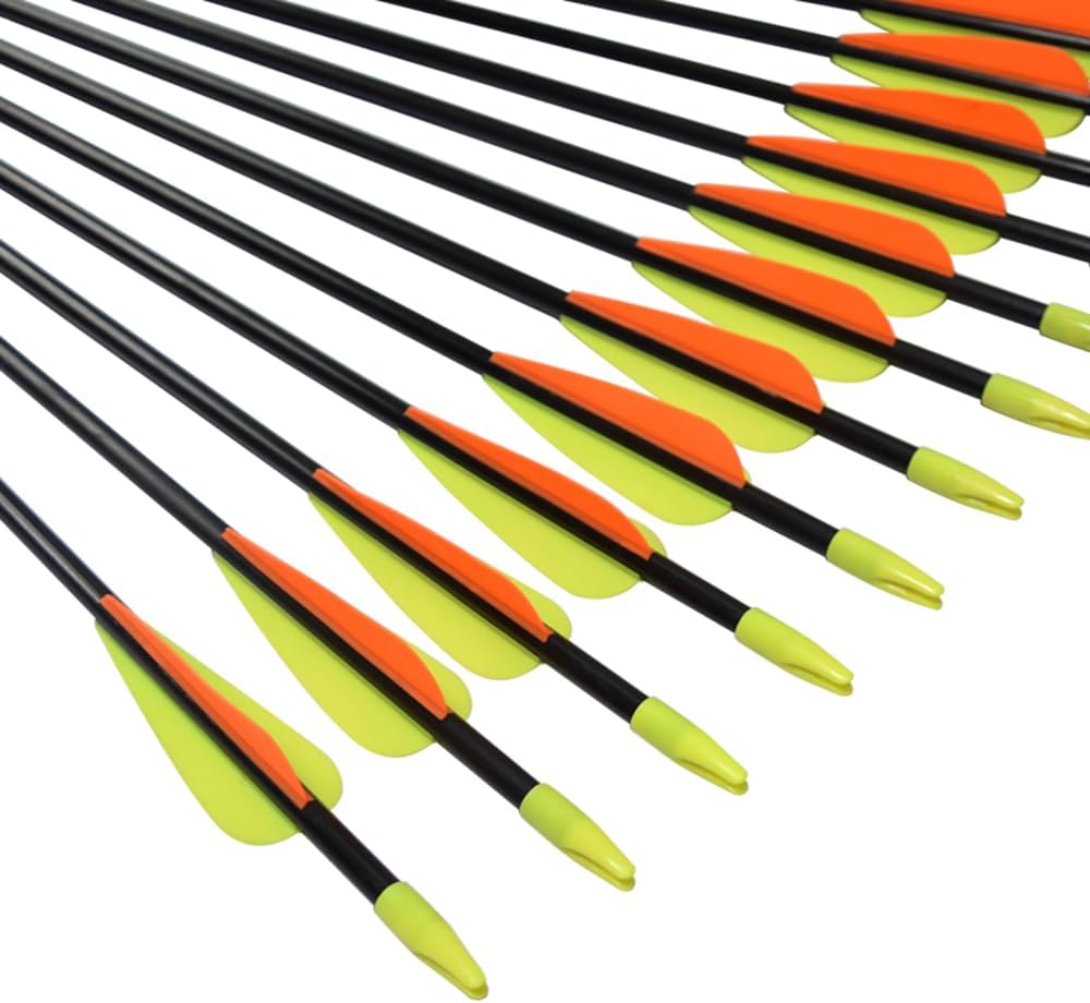 Practice Fiberglass Arrows - Archery Target Shooting for Youth & Beginners | 24/26/28/30 Inch, 6/12 Pack