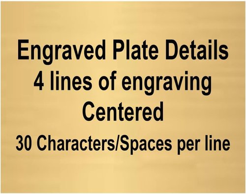 Decade Awards Metal Cup Trophy - Engraved Corporate Love Award | Gold or Silver (10-14.5 Inch) - Customize Today