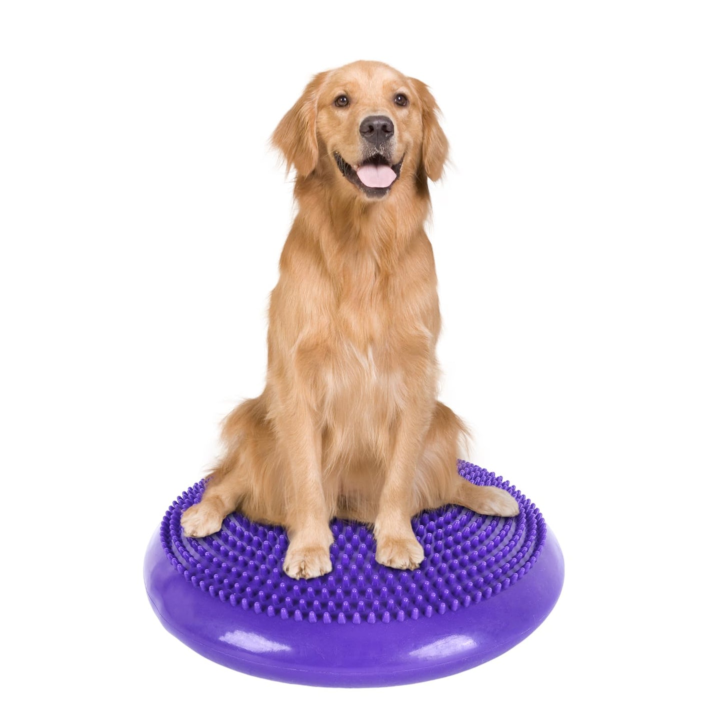 Dog Balance Disc 14", Dog Balance Equipment with Cushion and Pump, Pet Training Platform for Pet Rehabilitation Training, Strength Train Stability, Suitable for Small Medium-Sized Pets (Purple, 14 in)