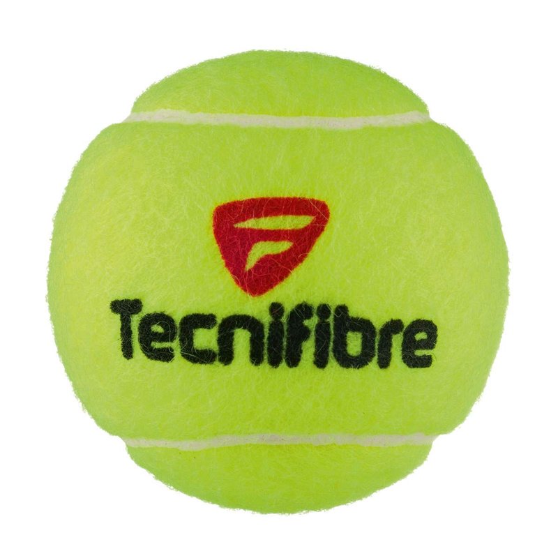 Tecnifibre X-One Tennis Balls (Case)