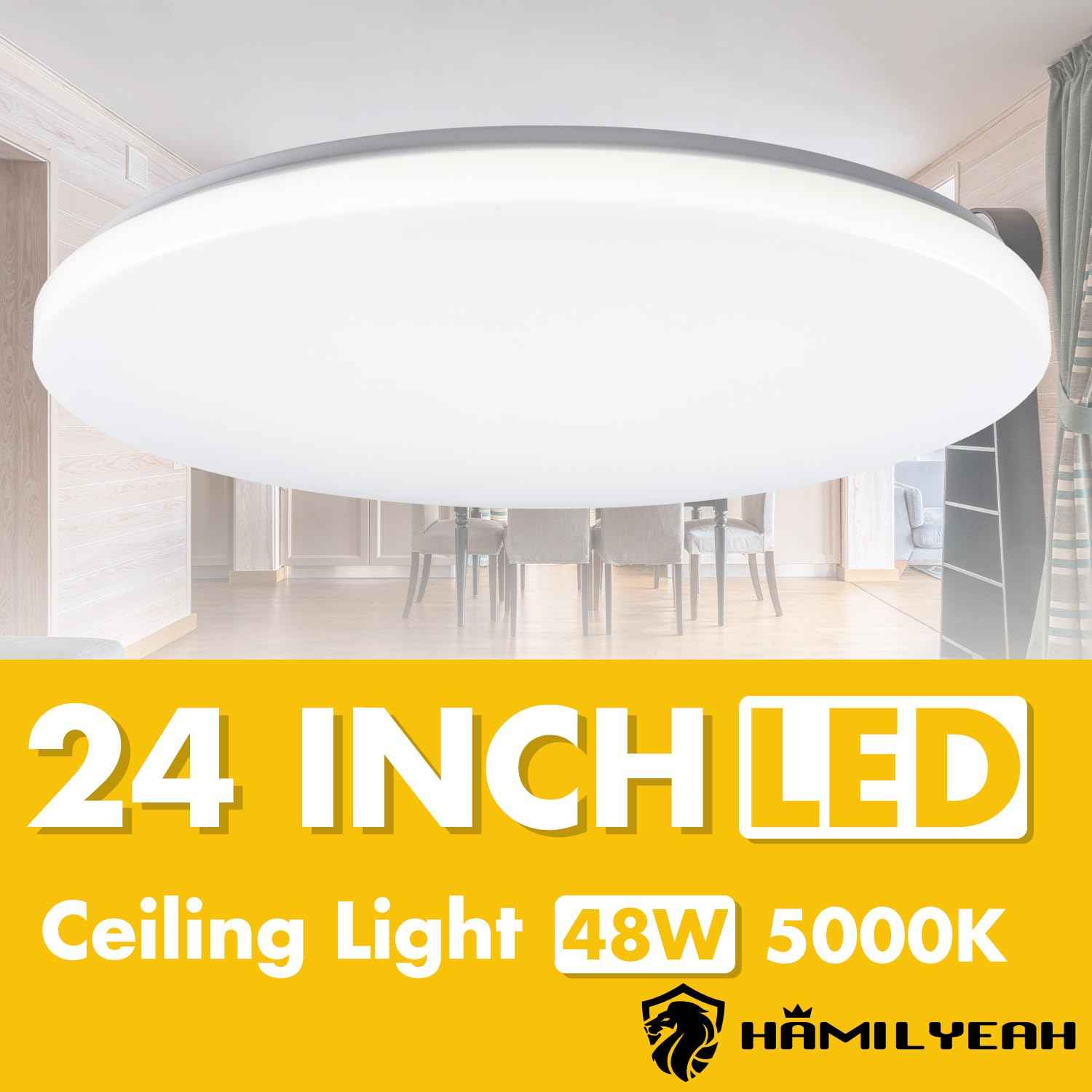 Hamilyeah 24 inch Flush Mount Ceiling Light Fixture, Drum Light Fixture Ceiling Mount 48W 5000K, Simple LED Close to Ceiling Lighting Fixture Round for Living Room, Bedroom, Kitchen