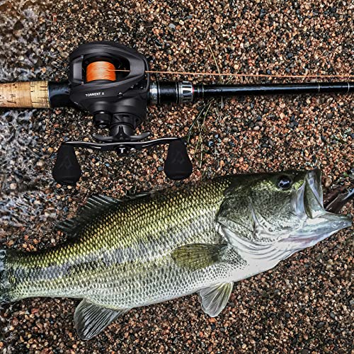 Piscifun Torrent II Baitcasting Reel 8.1:1 Gear, 20lb Drag, Magnetic Braking, Grey-Right Hand